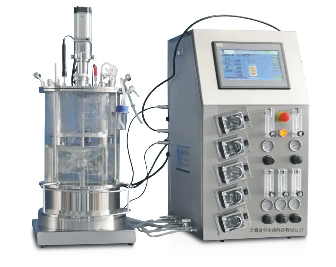 Mammaliance cell glass bioreactor BLBIO-GCUC model with the head plate of SS316L at bottom stainless steel jacket