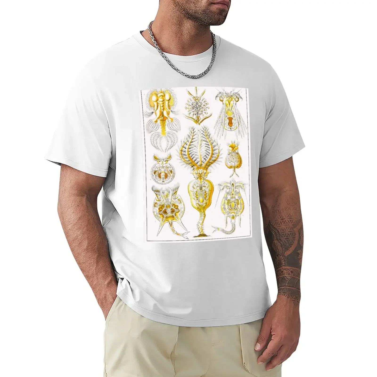 Plate 32. Rotifers or ‘wheel animals'. T-Shirt boys animal print customizeds blanks mens graphic t-shirts hip hop