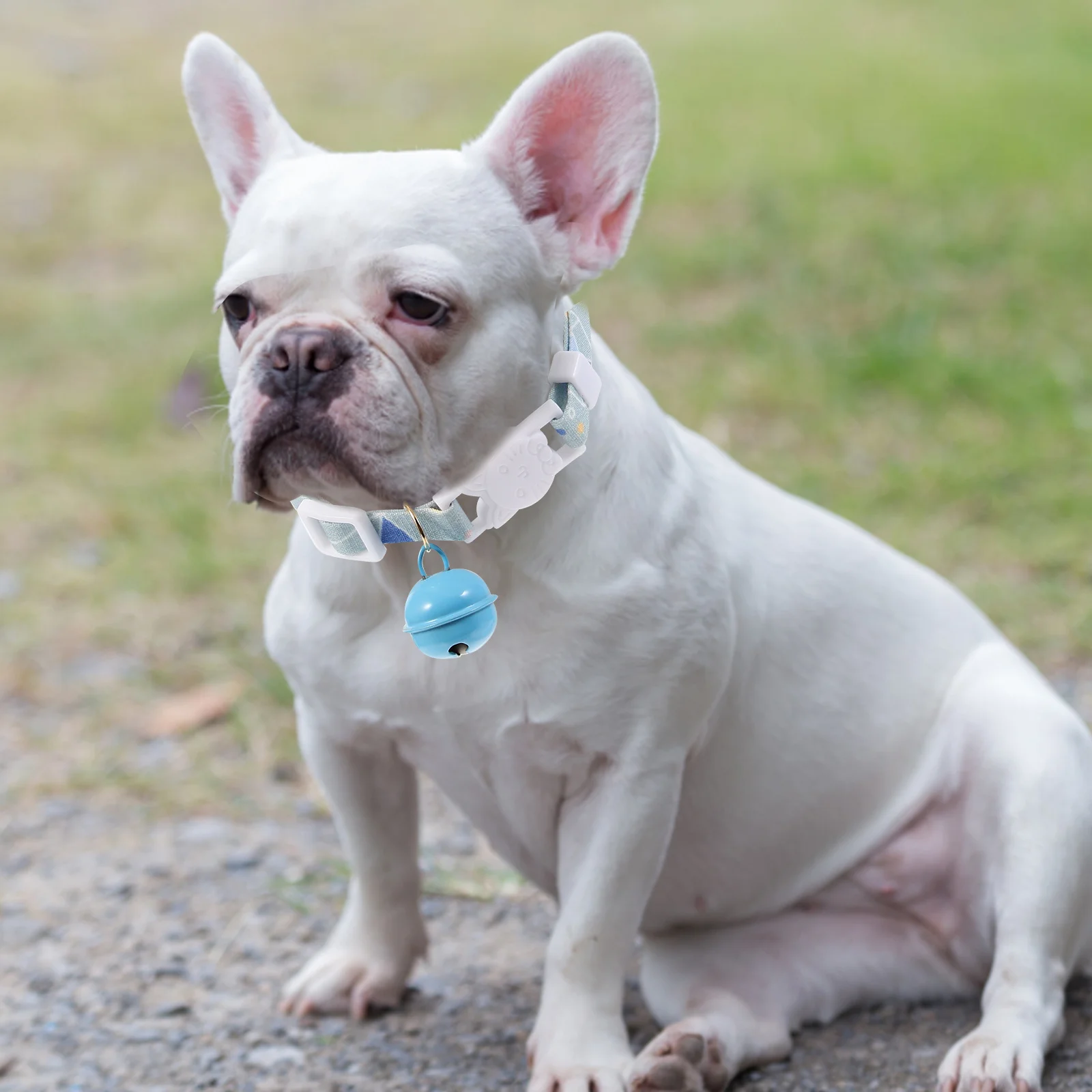 

2Pcs Pet Collar Cat Dog Collar Comfortable Skin Friendly Kitten Puppy Neck Ornament Birthday Party Photo Pet Dog Necklace