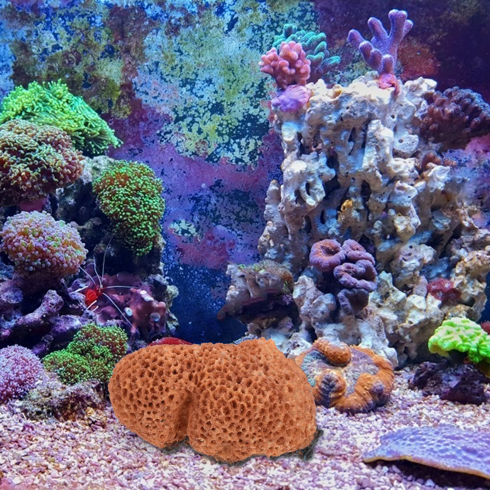 Lifelike Aquarium Coral Decorations Variety of Choices Durable and Longlasting Fish Tank Landscape Decor Fish Tank Decor Mini