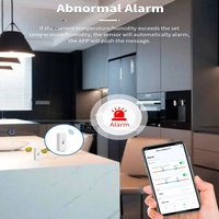 Zigbee/Wifi Tuya Temperature And Humidity Sensor Indoor Thermometer Smart Life Control For Home Work With Alexa Google Assistant