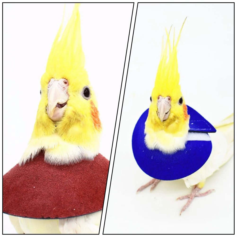 

2pcs Anti-biting Collar Neck Covers Bird Parrot Bird Recovery Neck Collar Recovery Supplies Adjustable Red Blue Pet Health Care