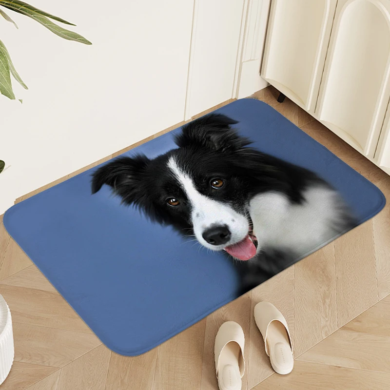 

Digital Print Foot Mat Border Collie Bathroom Living Room Floor Carpets Washable Non-slip Kitchen Rug Room Decorating Items