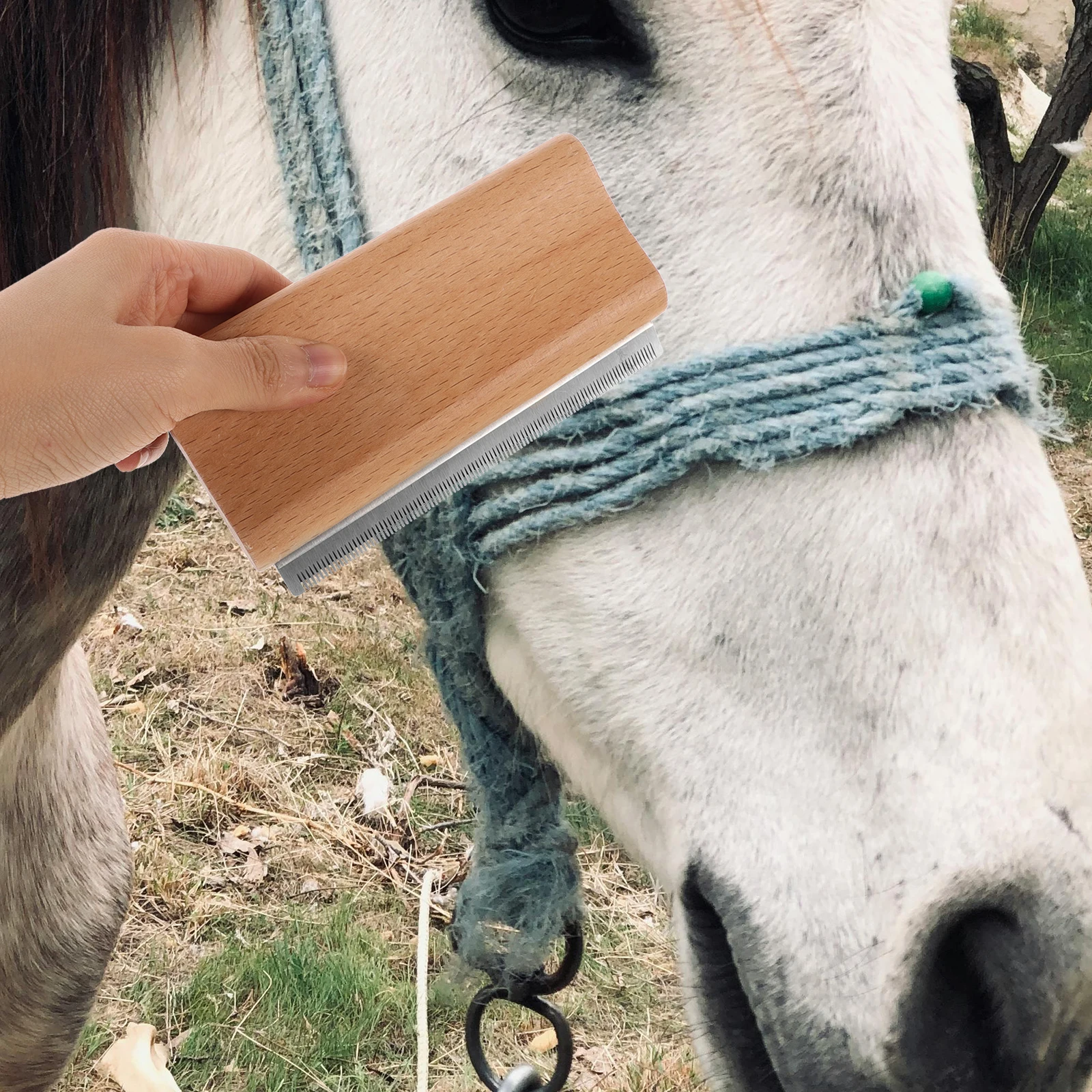 

Pet Hair Removal Comb 12.5cm Deshedding Tool for Dogs Horses Grooming Horse Cleaning Scraper Reliable Reusable