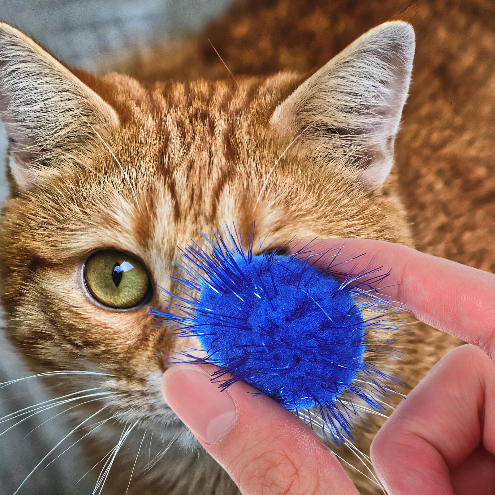 

60 PCS Cat Toys Assortment Play Balls Activity Exercise Enrichment