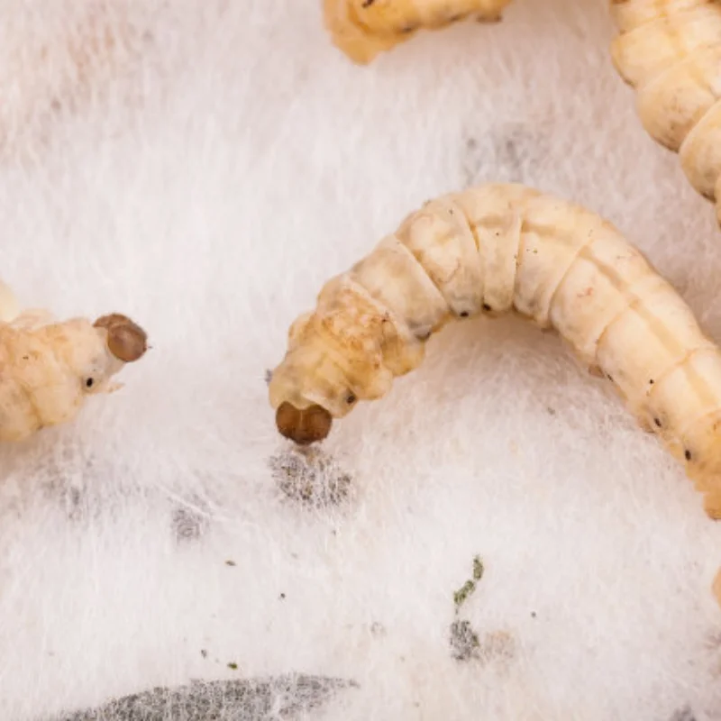 

Wltoys 144001 124017 124019 Металлические аксессуары PO Комплект для модернизации на радиоуправлении