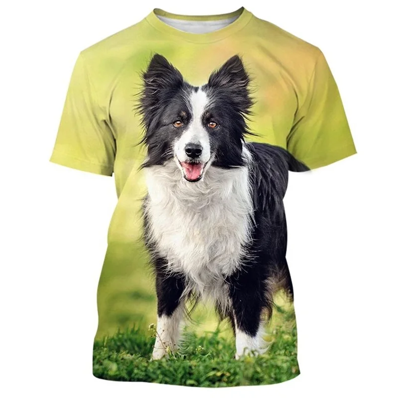 Border Collie 3D Printed T-shirt For Men Fashion Cute Animal Dog Unisex Round Neck Casual Short Sleeve Tee Shirt Clothing