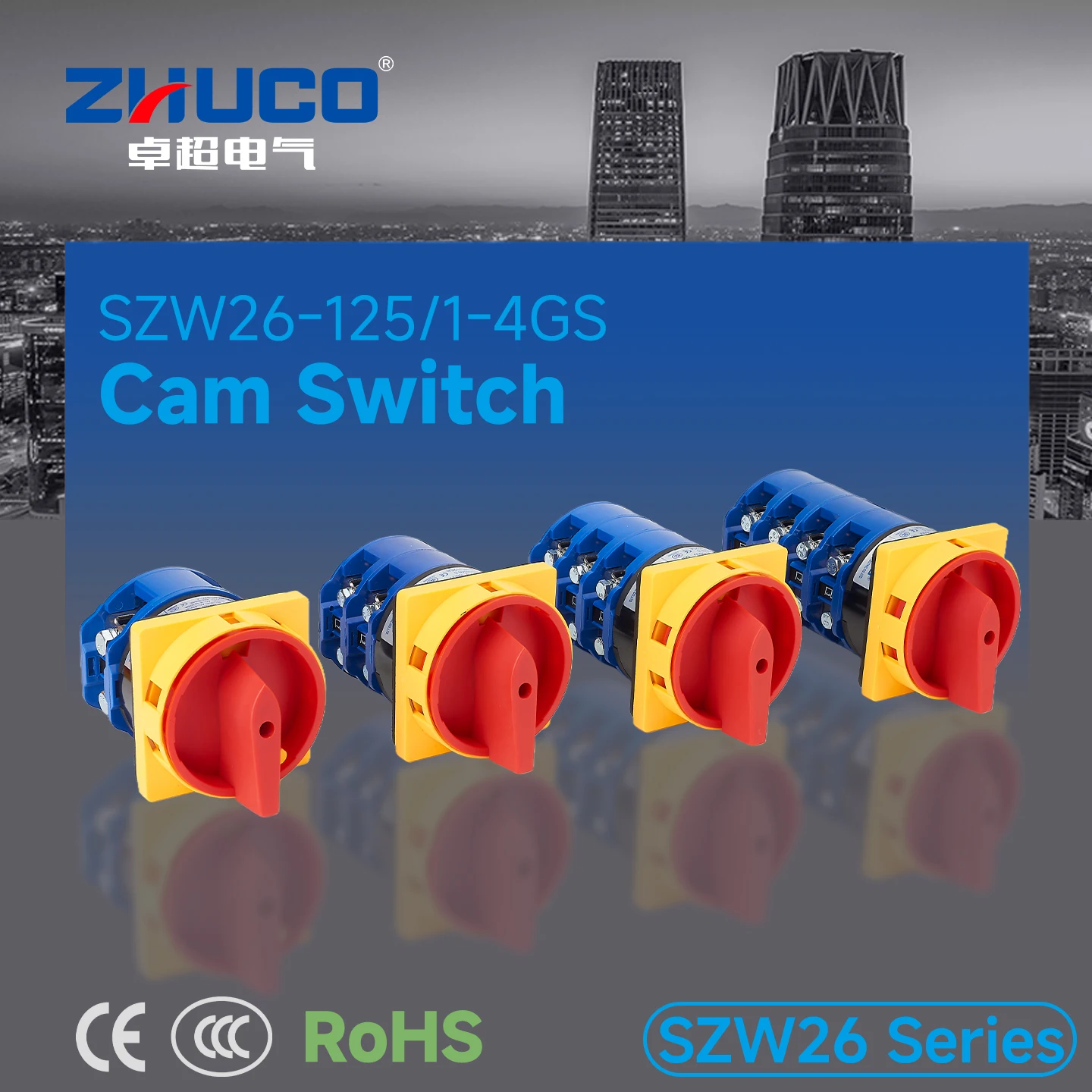 Szw26-125/1-4 Section Gs Series Off-On Two-Position Power Cut-Off Switch, Toggle Switch, Rotary Switch