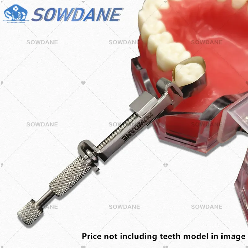 Dental Tofflemire Matrix for Deep Margin Elevation Large Curvature Matrices Retainer Sectional Contoured Matrice Dental Material