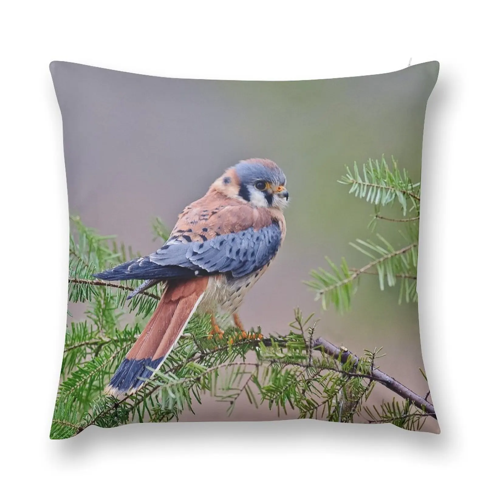 American Kestrel Throw Pillow Custom Cushion Photo Cushions For Children pillow