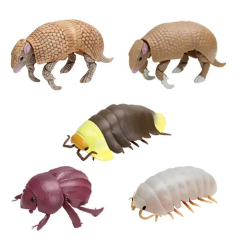Enciclopedia biológica Original, Pillbug Gashapon, juguetes, figura de insecto, modelo de simulación, adornos, Juguetes