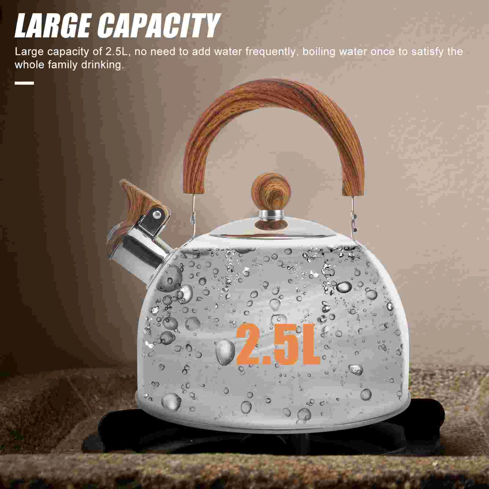 Chirping Kettle Home Use Teakettle Fondue Pot Coffee Water Boiling Container Stainless Steel Kitchen Child