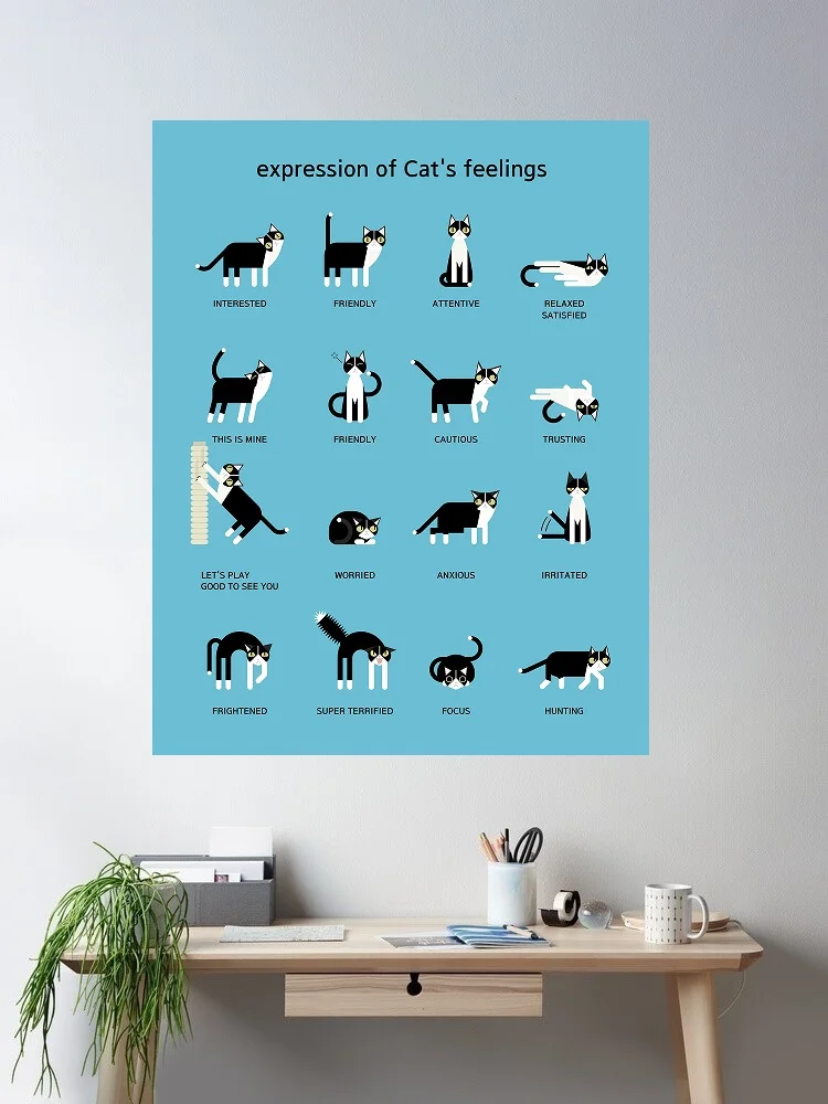 Expression of a cat's feelings, Art Print Silk Poster Home Wall Decor