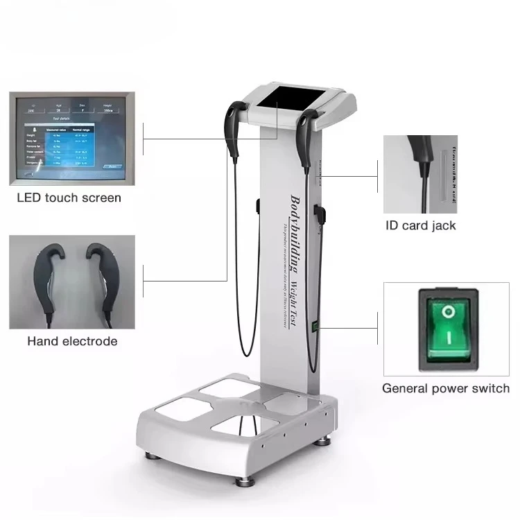 Professional Health Scanner Body Fat Scale Analyzer Machine Human Full 3D Digital Body Composition Analyzer