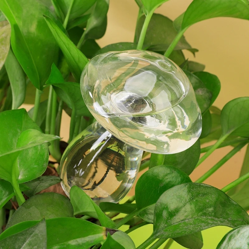 Dispositivo rega cogumelo planta automática auto rega globos waterer vidro
