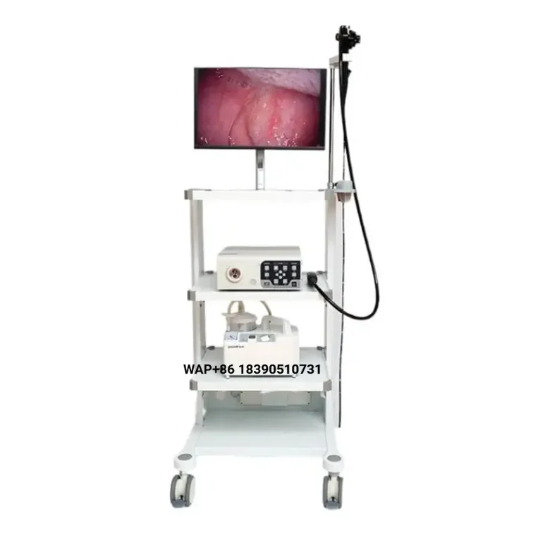 Multifunctional Surgical Equipment, Portable Veterinary Gastroscope Kit, Endoscope BVI-15 23.6 Inch Screen, Diagnostic Injec