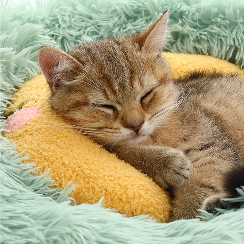 Almohada pequeña para mascotas, Protector de cuello a la moda, sueño profundo, cachorro, gatito, almohada en forma de U, reposacabezas para perros y gatos, 1 ud.