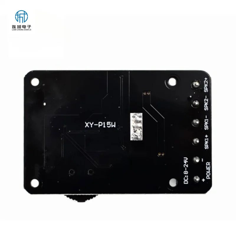 Papan Amplifier Stereo 10W/15W/20W 12V/24V Modul Amplifikasi Daya Digital Daya Tinggi XY-P15W