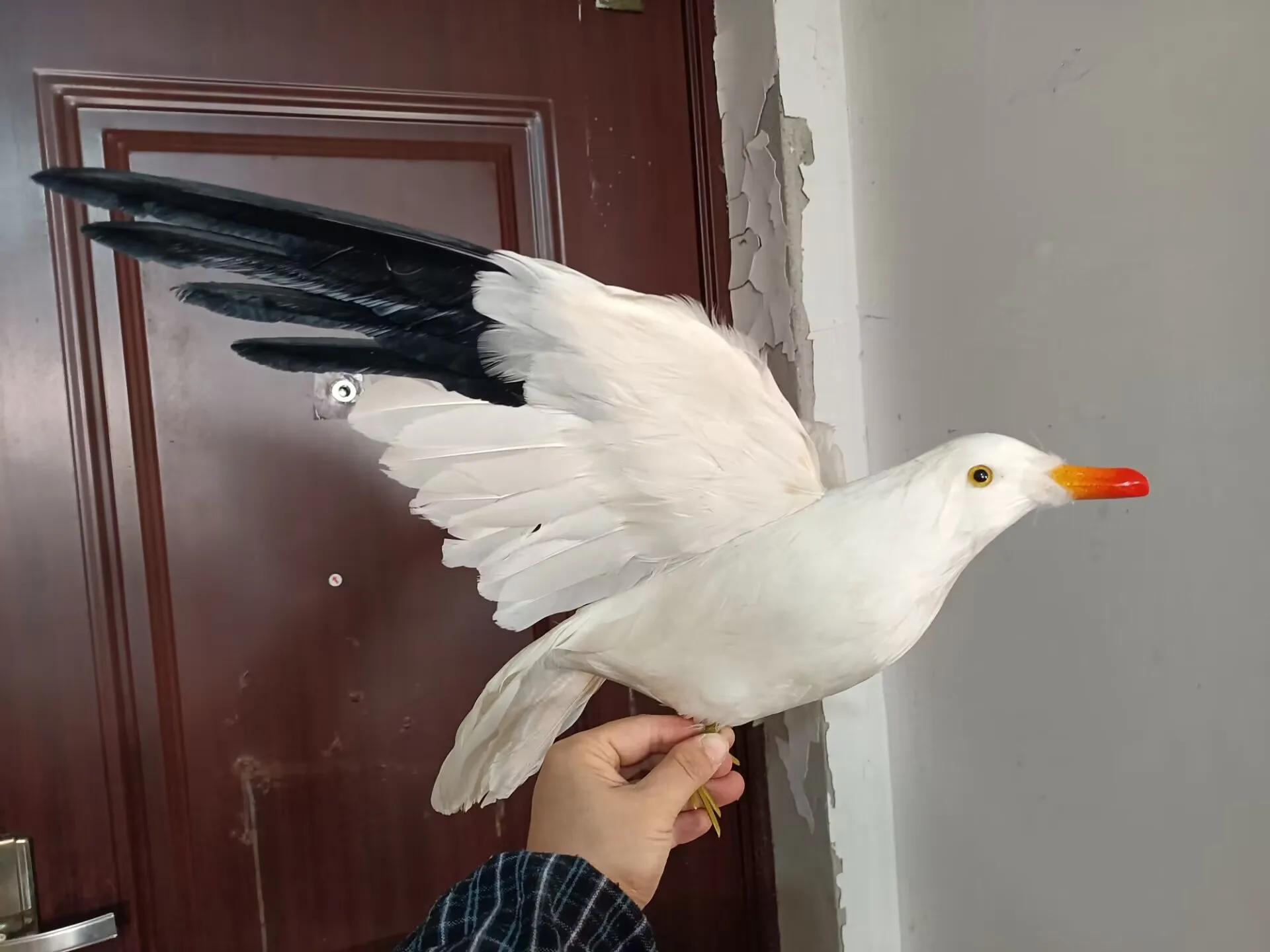 new simulation seagull model foam&furs wings bird decoration gift about 38x55cm xf2895