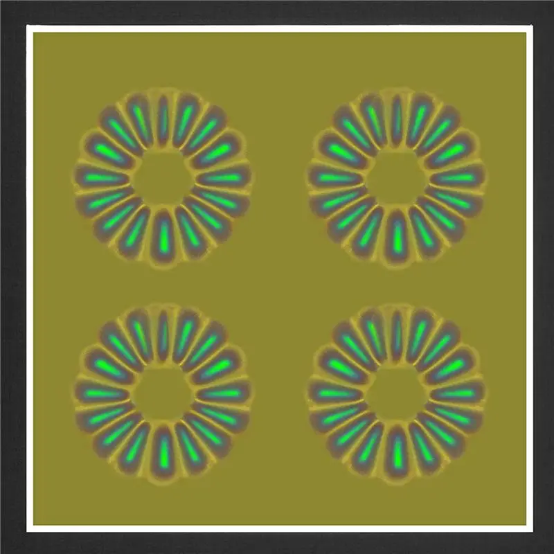A02M-2X Magnetic Field Viewing Film,Magnetic Field Detector To See Magnetic Fields For Scientific Project Teaching 4 X 4 Inch