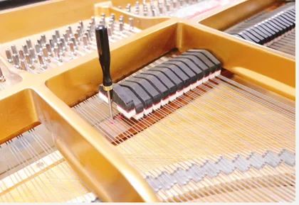 

Piano tuning tools, triangle piano damper, guide plate, tuning pin, hole expansion damper glue, hole expansion tool