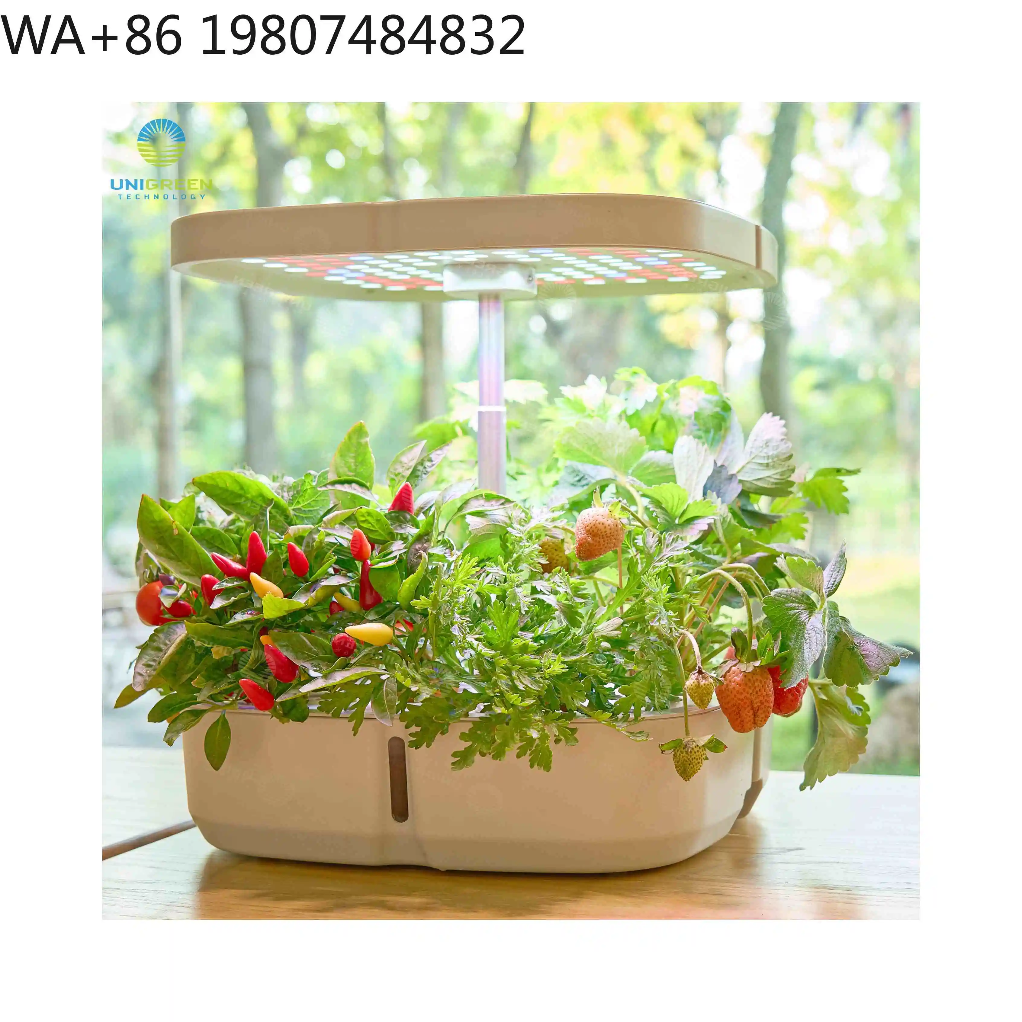 8 Pod  Mini Hydroponic Grow Box Full Spectrum Adjustable LED Grow Light Soilless Cultivation Kit For Spices Leaf Vegetable
