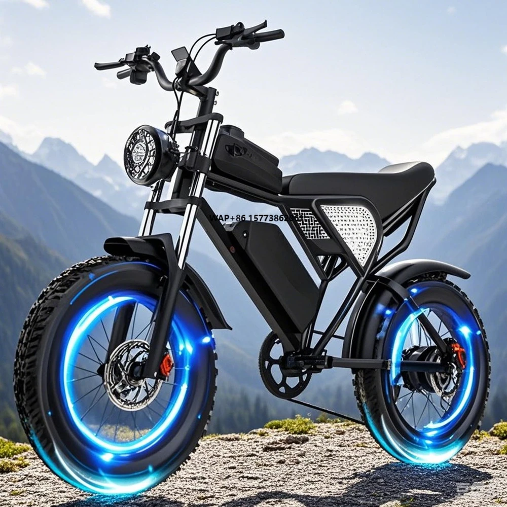 

Q20 48V 20Ah Fat Tire Mountain Dirt Bike New E Bike China Manufacturer Ebike City Bicycle for Adults