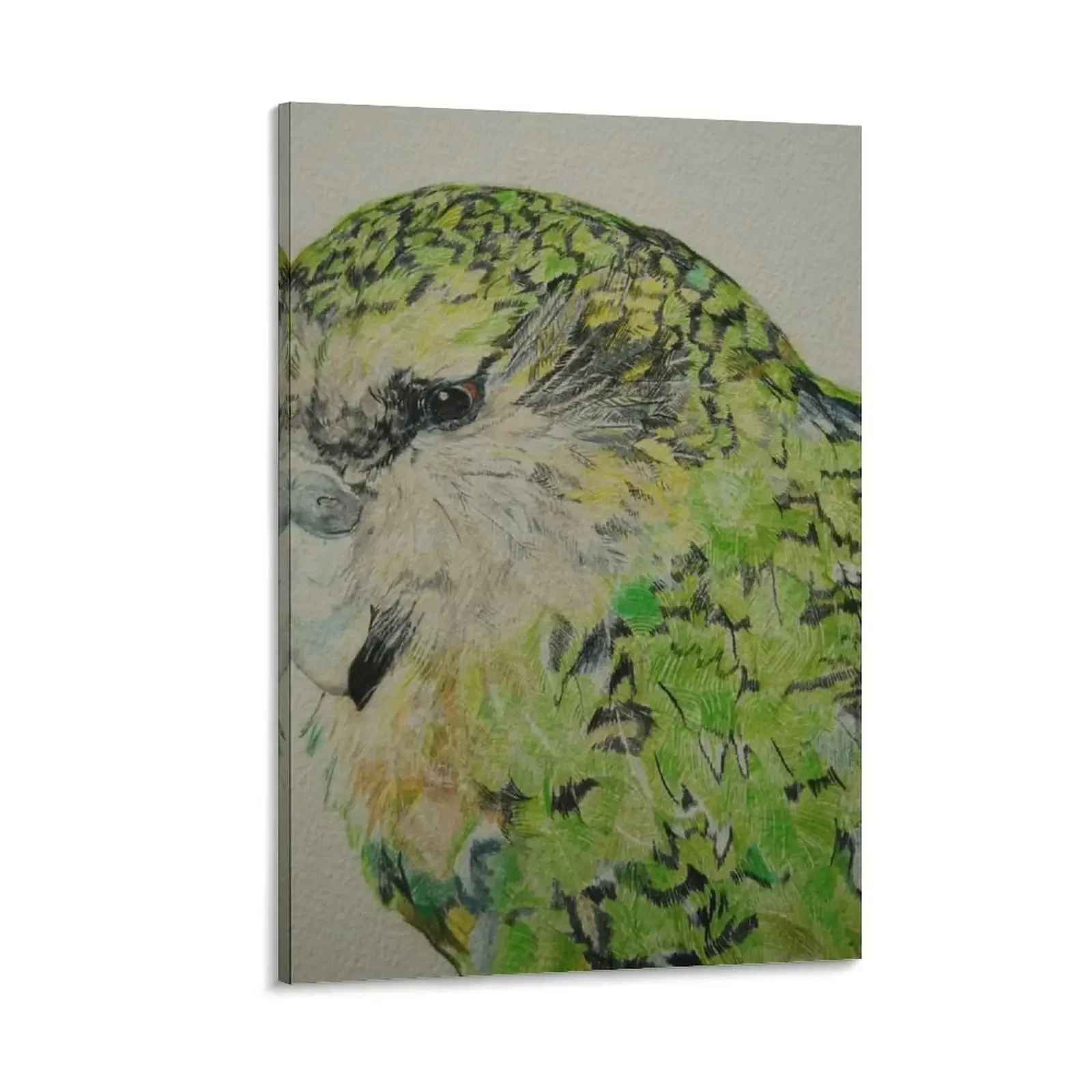 

Kakapo Canvas Painting room decorations Paintings on canvas for living room wall decor Decorative prints wall painting