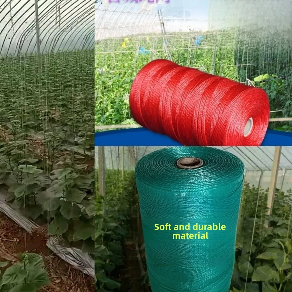 Nylon Climbing Plant String for Cucumber Tomato Greenhouse Trellis Binding Rope Vine Support String Garden Care Tool
