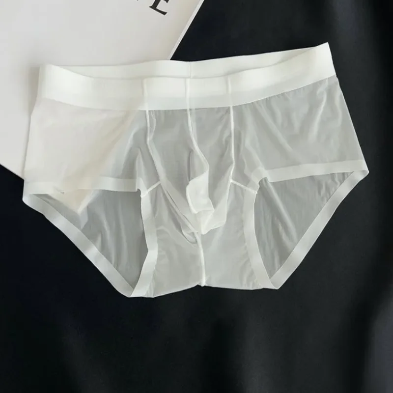 

Transparent Men's Briefs Ultra-thin Ice Silk Glossy Panties Sexy U Bulge Pouch Plus Size Breathable Low Waist Briefs Underpants