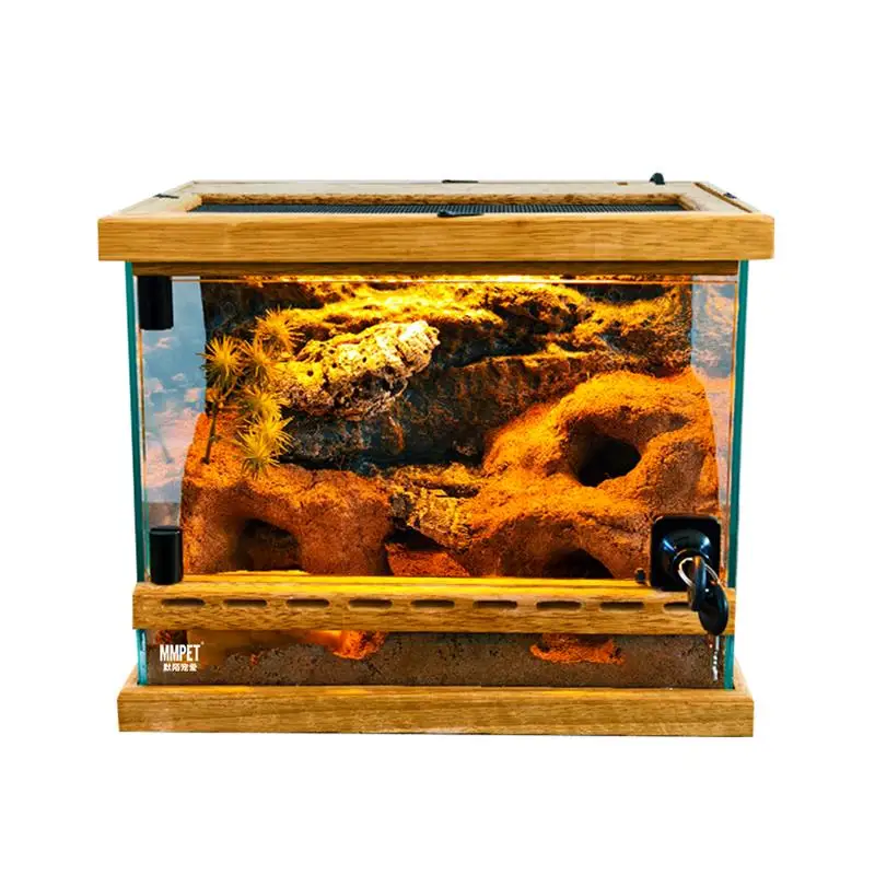 Climbing pet lizard snake horned frog palace spider landscaping glass feeding tank, ecological environment