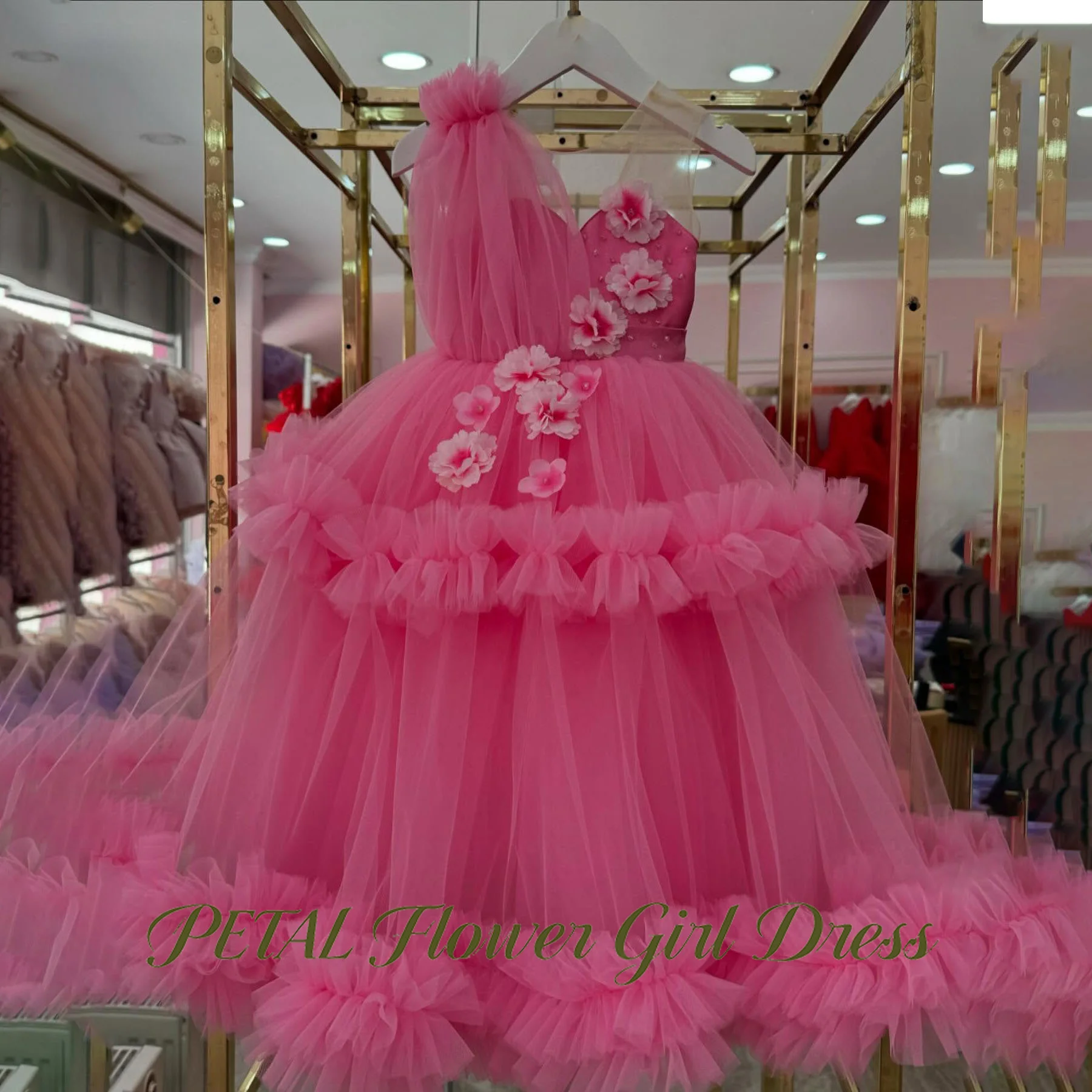 

Petal Pink First Communion Gown Deep V Neck Girls Princess Dress 3D Floral Applique Evening Party Dress for Girls Customized