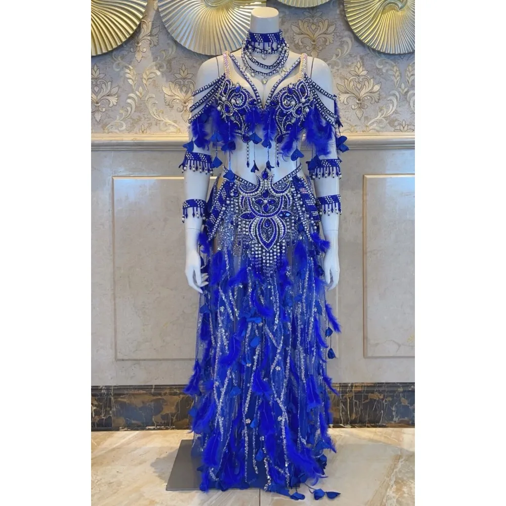 BellyDance Suit Embroidery Diamond Bra Split Fishtail Skirt Performance Set Custom Adult Child Competition Clothing Accessories