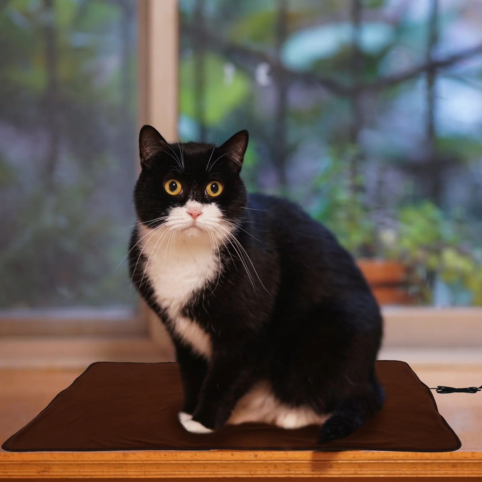 

1pc Electric Heated Dog Bed Small Dog Heating Mat Warm Heater Washable Cat Pad Usb Pet Heating Pad Anti Scratching Blanket Pet