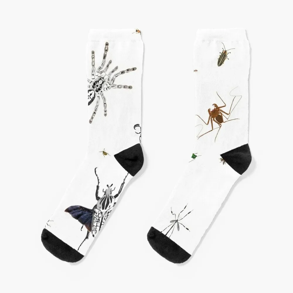 Entomologist's Dream Socks Christmas tennis Women's Socks Men's