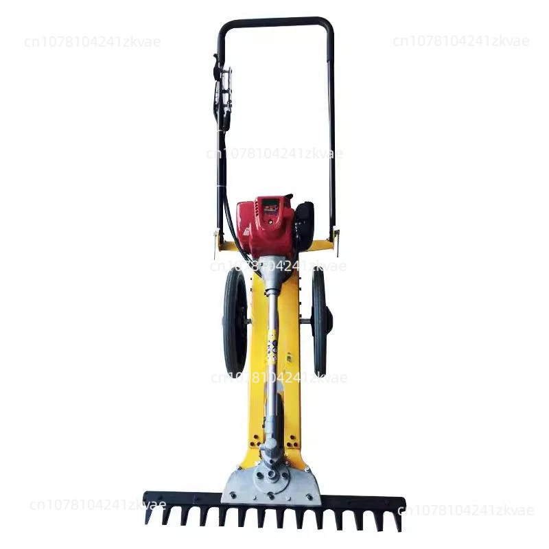 Gasoline Lawn Mower Hand-push Lawnmower Grass Cutter Weeder for Mowing Multi-purpose Agricultural Brush Cutter Reel Mowers