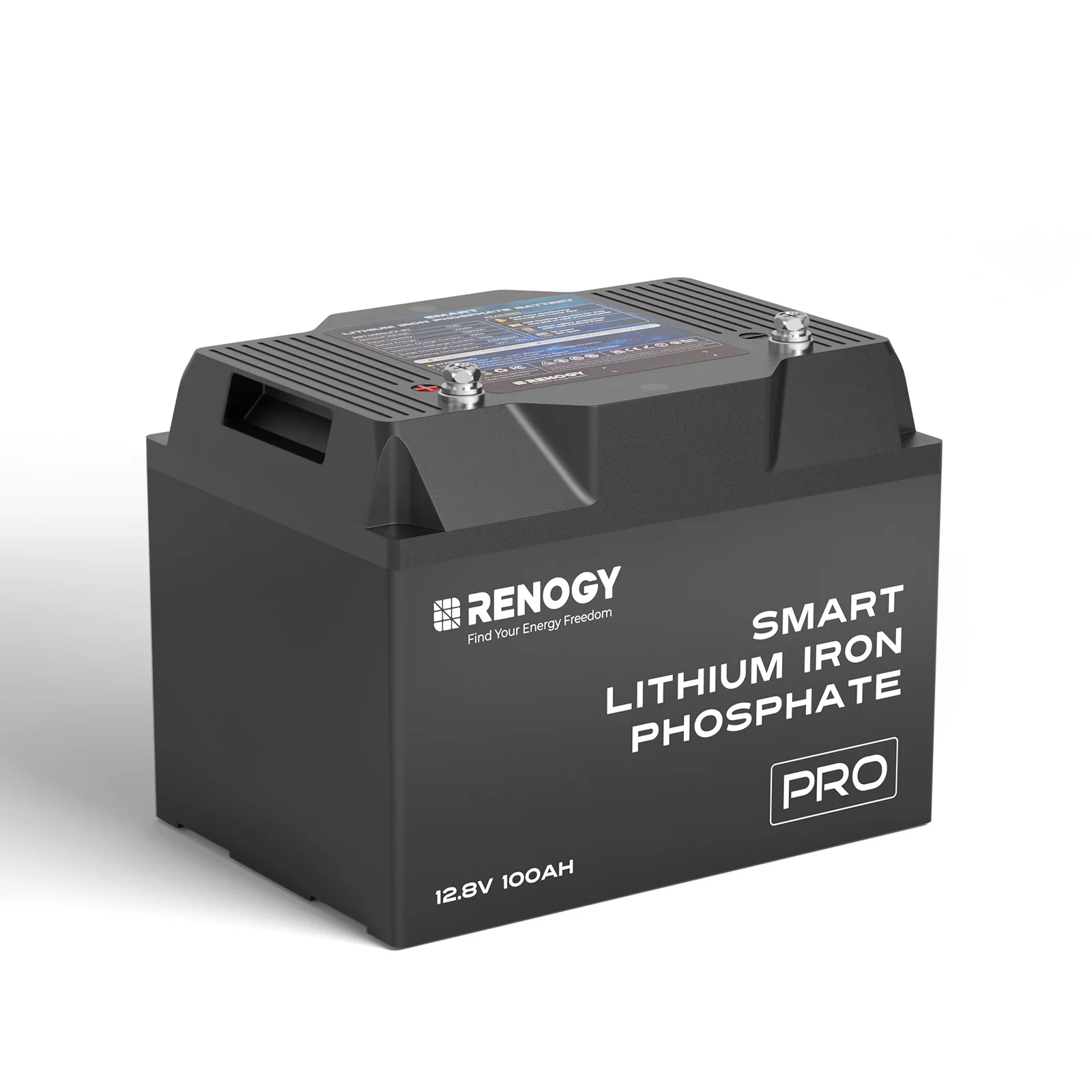 Renogy 12V 100Ah 200Ah Pro Smart Lithium Iron Phosphate Battery w/Bluetooth & Self-heating Function