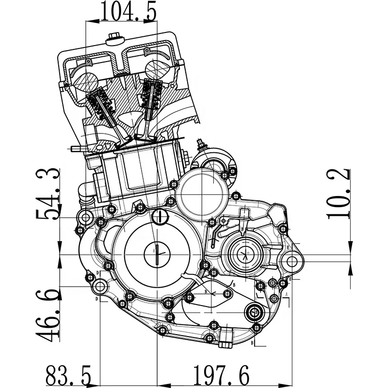 Motorcycle YF300 Engine Assembly | Single-cylinder Four-stroke Water-cooled Electric/Kick Starting