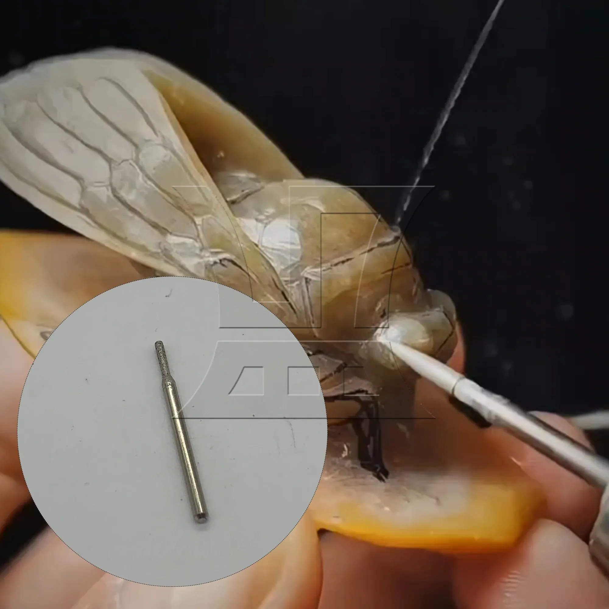 

CNBTR 90 шт., металлические заусенцы с алмазным покрытием, сверло для стекла, цилиндрическая головка, ручка, диаметр головки 0,3 см, диаметр 0,2 см, серебро для сплавов