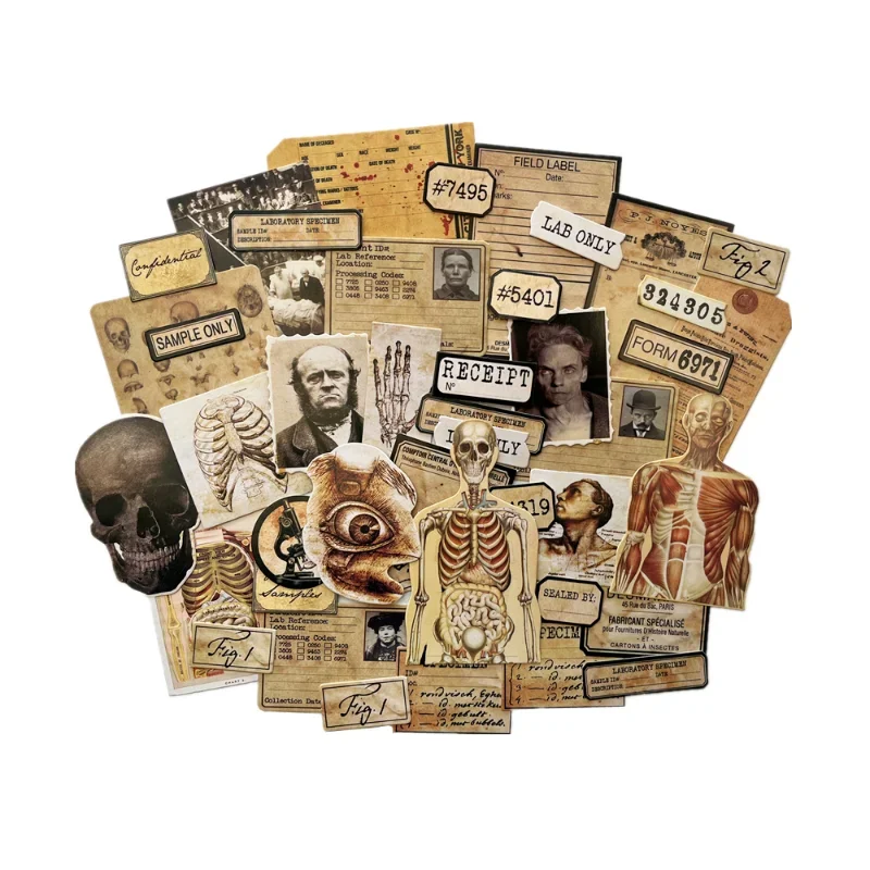 43Pcs Tim Holtz Style Human Anatomy Cardstock Craft Paper Junk Journal Ephemera Medical Album Scrapbooking Material Paper Pack