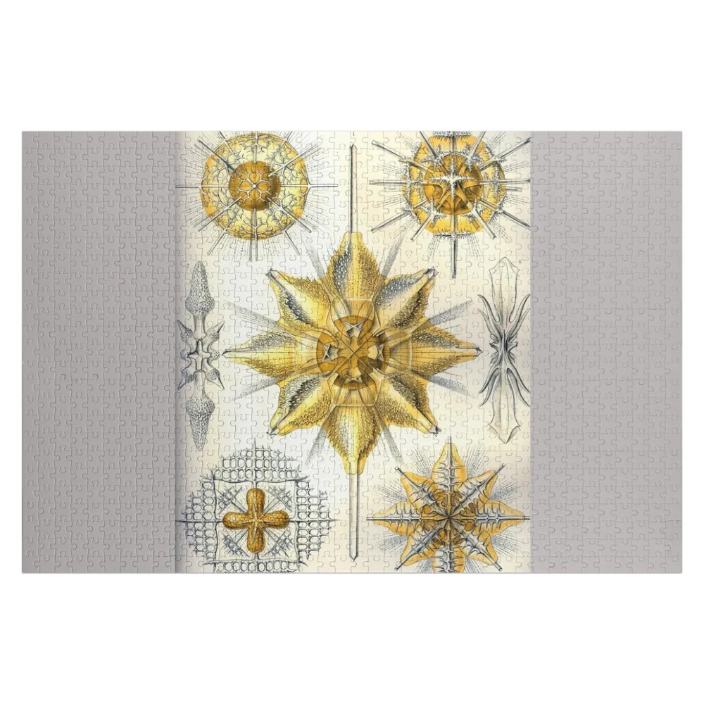 Ernst Haeckel Acanthometra Acantharea Radiolarian Protozoa Jigsaw Puzzle Custom Child Anime Custom With Photo Wood Name Puzzle