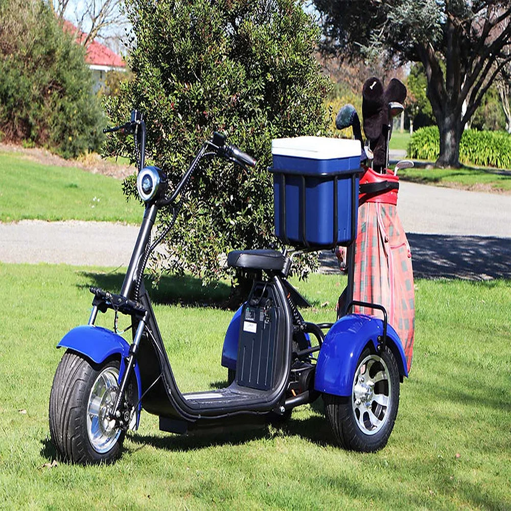 ZAIQU  australia market Hot Sale Factory Directly Discount Sleek and Sturdy 2 Seater Golf Kart Electric Motor golf carts golf sc
