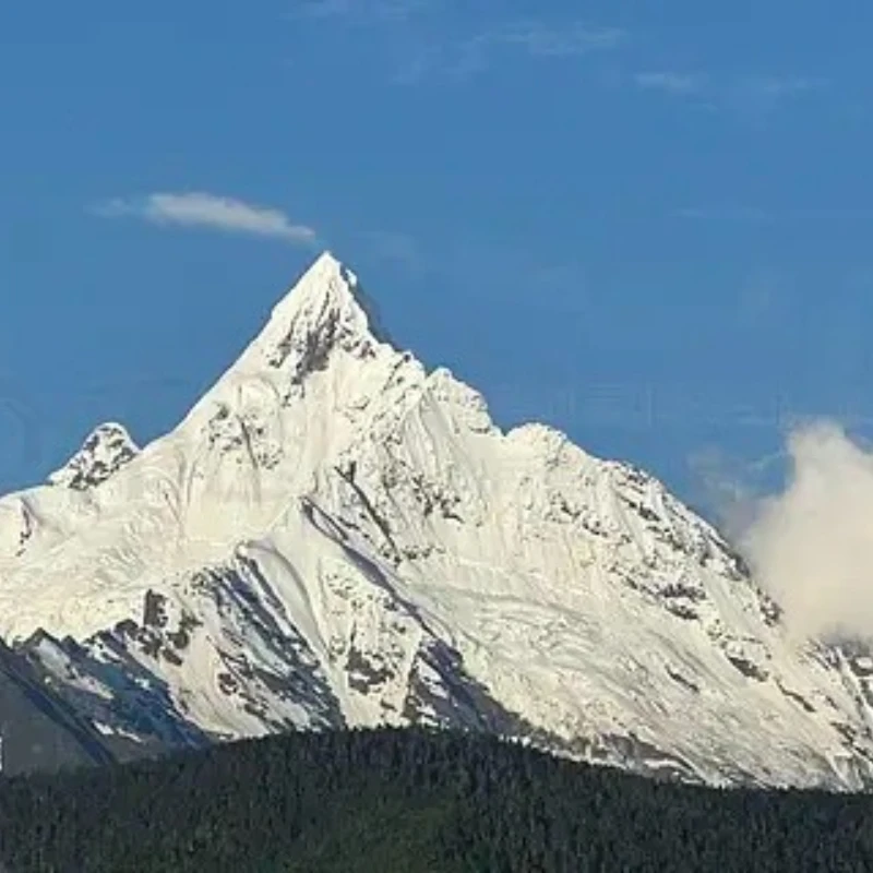 JX Servo PDI-HV2305HB 7,5 kg Mini-Digitalservomotor für Hubschrauber, Auto, Roboter, wasserdicht, IP67, 0,11 Sek./60 °   9g hoch für Jungen RC