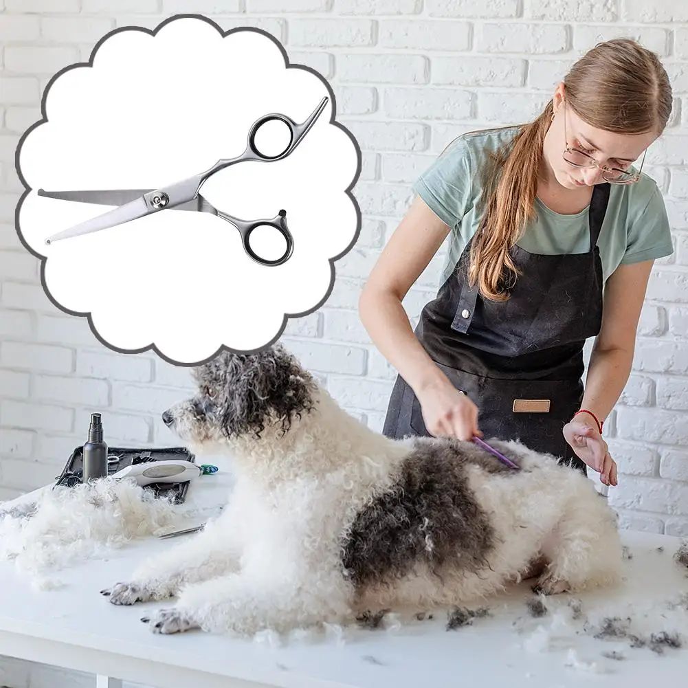 犬のグルーミングはさみ鋼安全丸頭湾曲したペットはさみ犬はさみペットの毛カットはさみ子犬用