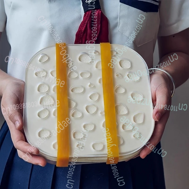 

fleur Microwave Flower Press Kit - Fast-Dry Plant & Flower Preservation for Framing, Crafting, and Botanical Specimens