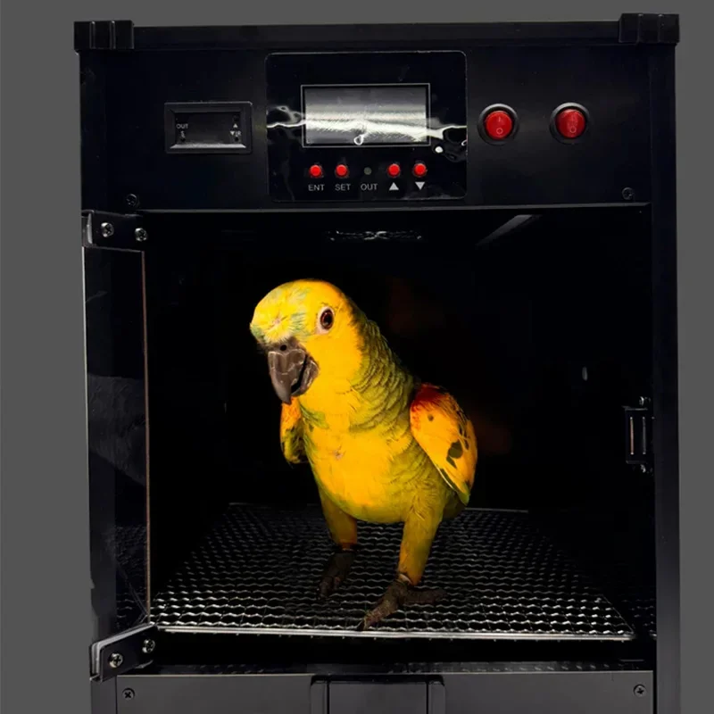 Intelligent Constant Temperature Bird Incubator Parrot Brooder Box Digital Temperature Control Pet Chick Rearing Cage