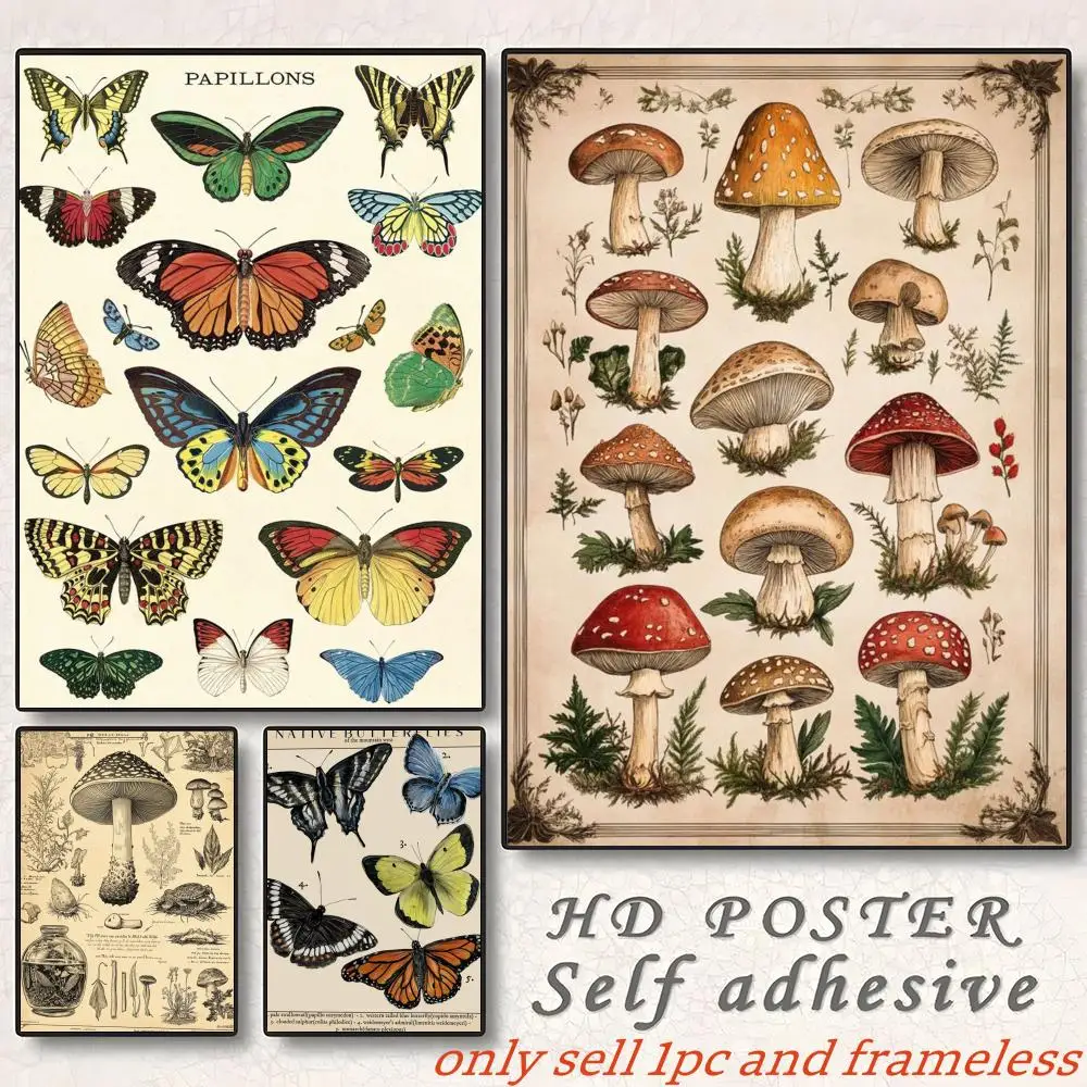 Classic Butterfly insect Art Drawing Poster Poster painting with prints Home bedroom living room decoration gift