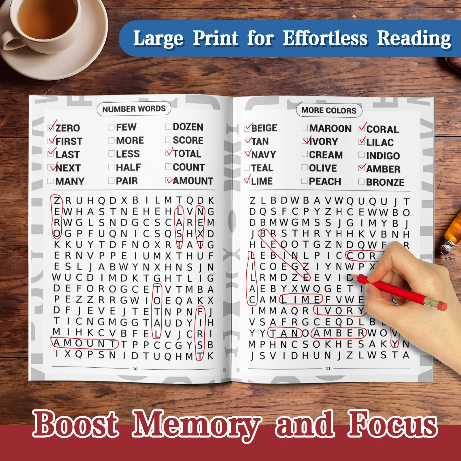 The Big Book of Word Search: Large Print Word Search & Word Find Puzzle Book with 300 Everyday Topic Words for Adults & Seniors