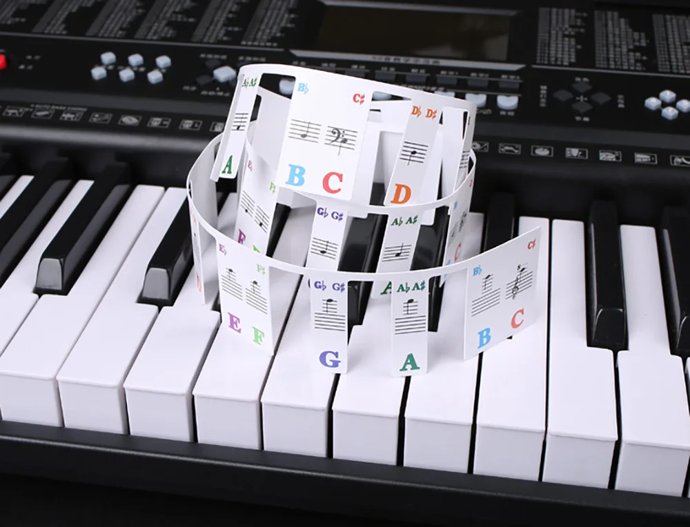 Aufkleber für Klaviertastatur, 88/61 Tasten, abnehmbare Etiketten für Musiknoten für Anfänger, PVC-Klaviertastenetiketten, Leitfaden für Klaviernoten aus Silikon – Detail 8