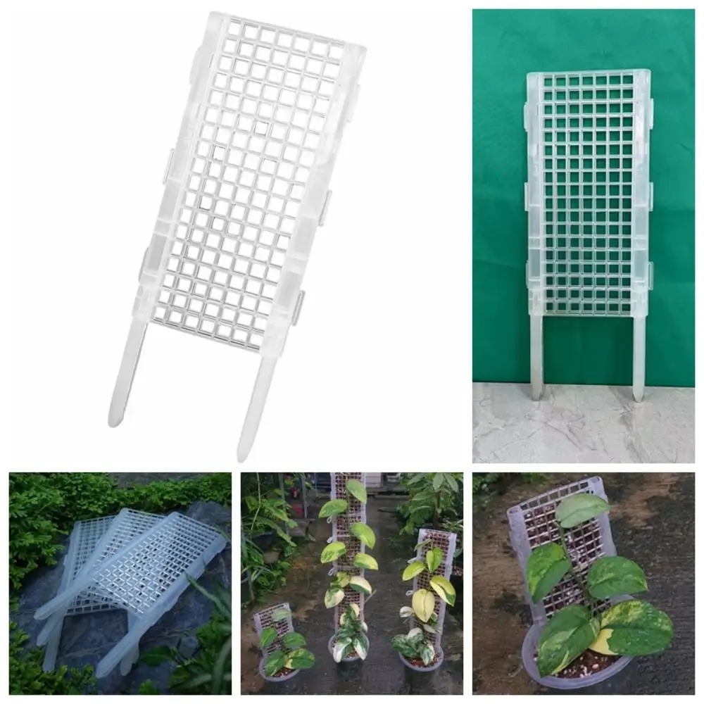 

Полый пластиковый столб для мха, устойчивый к атмосферным воздействиям, прозрачная рама для скалолазания для растений, многоразовая колонна для альпинизма с мохом